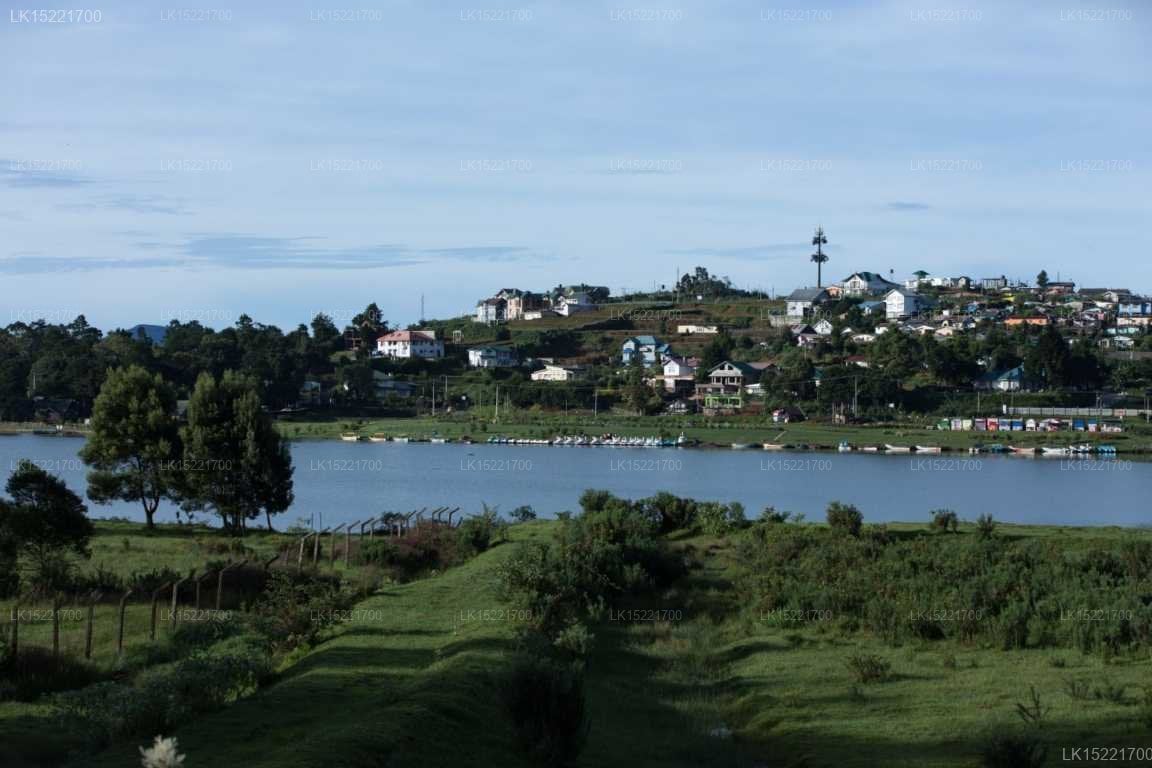 Camellia Lake Resort