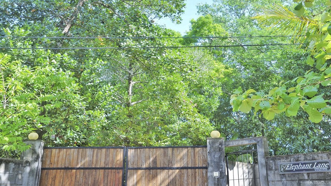 Elephant Lane Holiday Resort