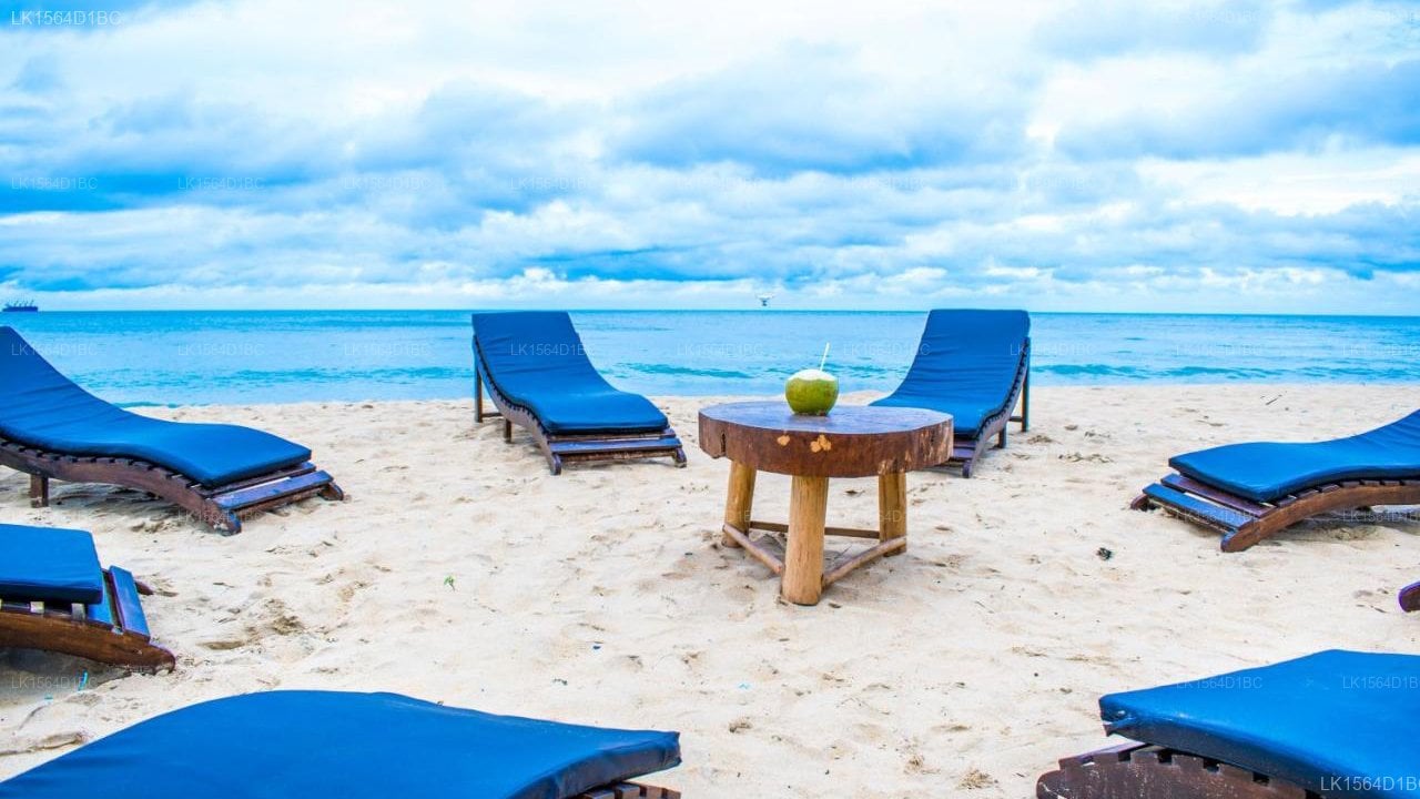 Omeesha Beach Hotel