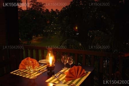 Tropical Villas