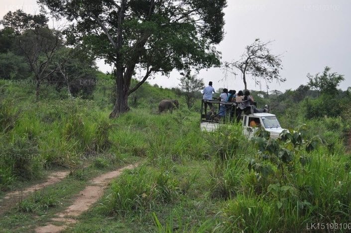 Chata Sigiri Oya, Sigiriya