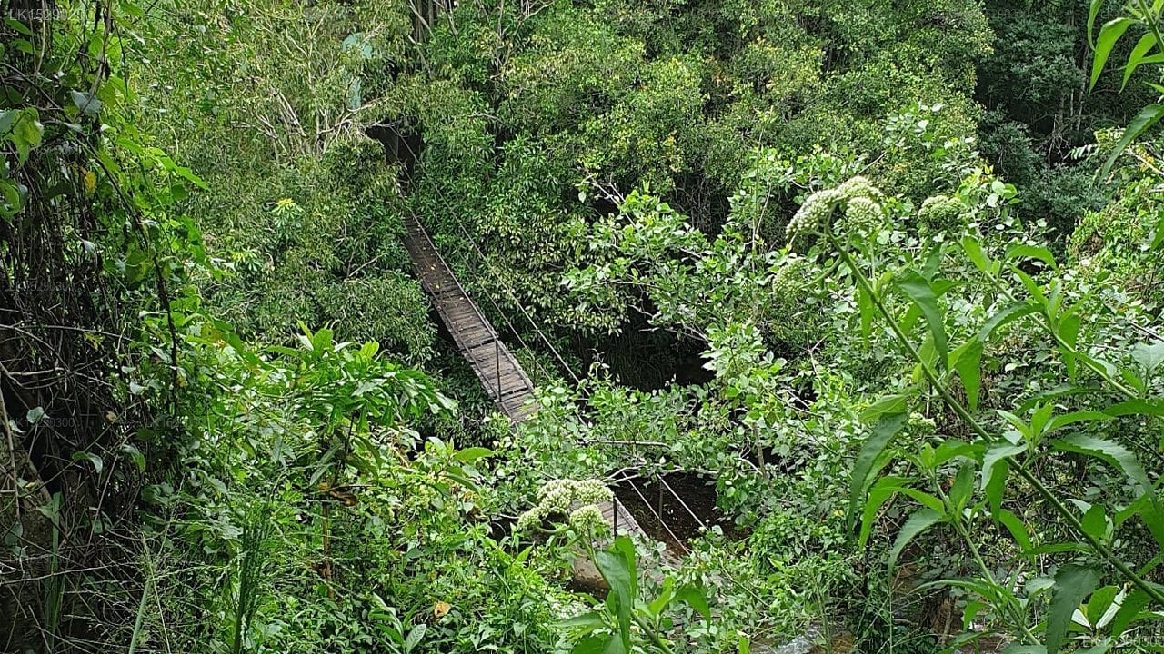Hideaway Trails by Chaarya Ella