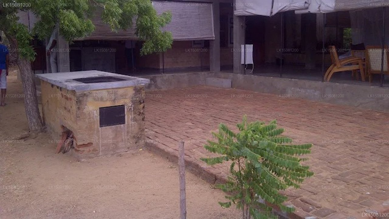 Panthera Lodge