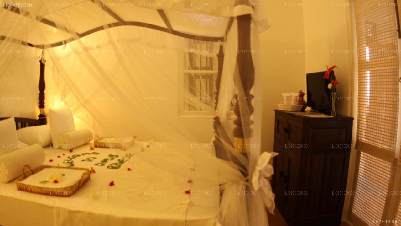 Oasis Ayurveda Bridge