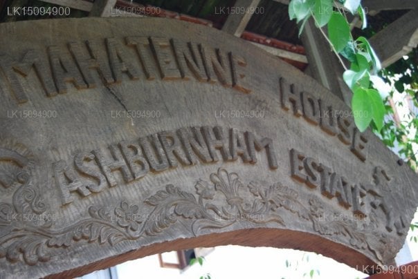Ashburnham Estate