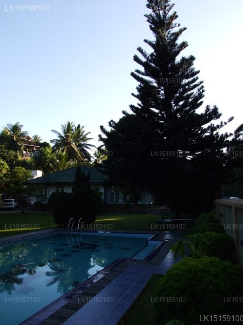 Swetha Villa