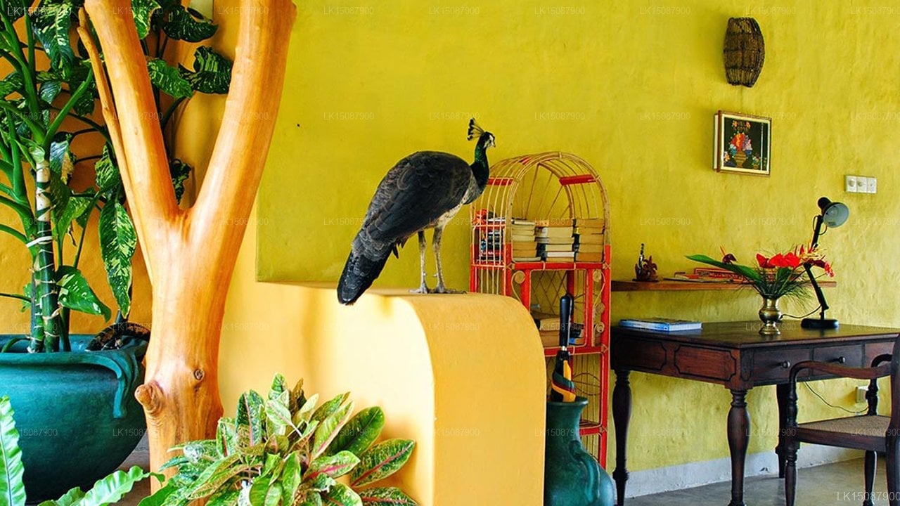 Khomba House