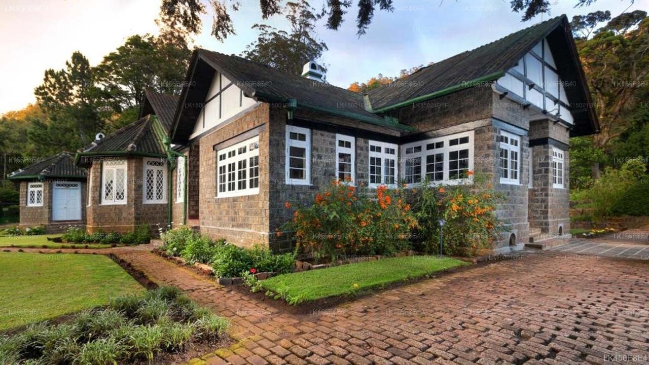 Scottish Planter-Glendevon Bungalow