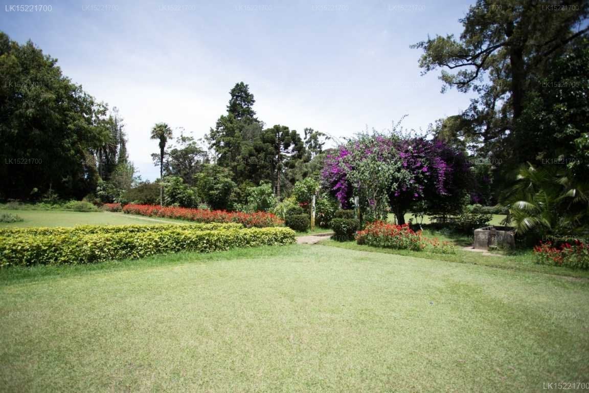 Camellia Lake Resort