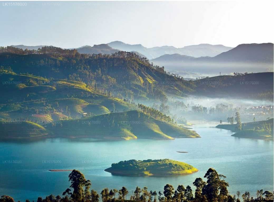Ceylon Tea Trails