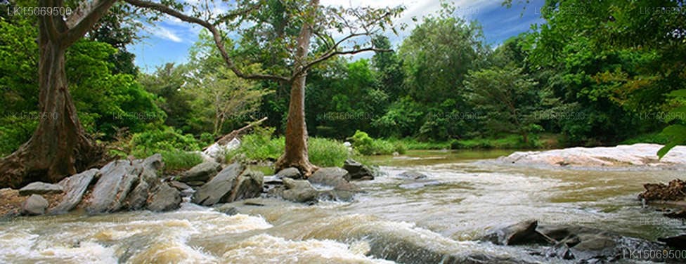 Kumbuk River