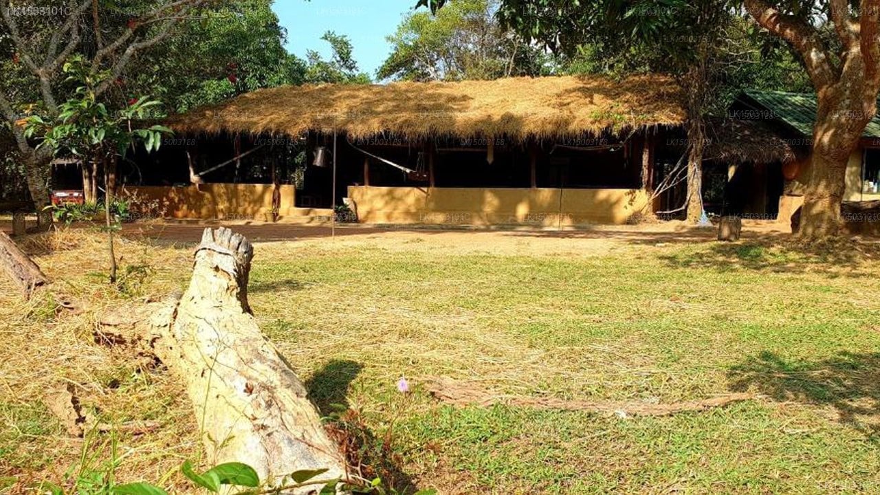 Kamatha Eco Lodge