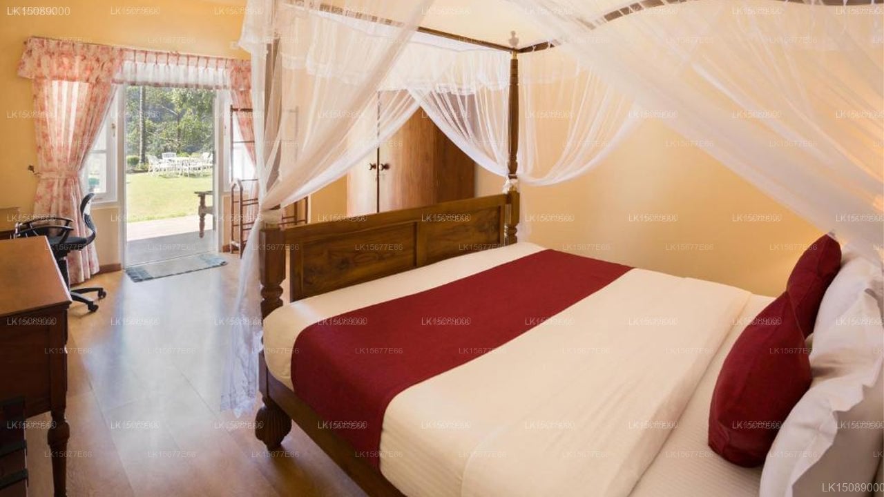 The Oliver Tree Bungalow