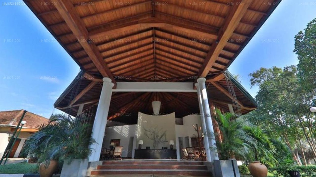 Tamarind Tree Hotel
