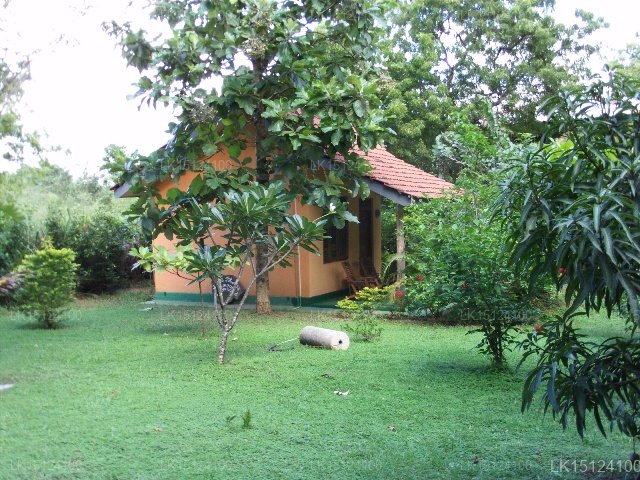Nice Place Restaurant & Bungalow