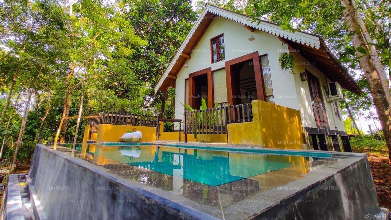 Citron Villa