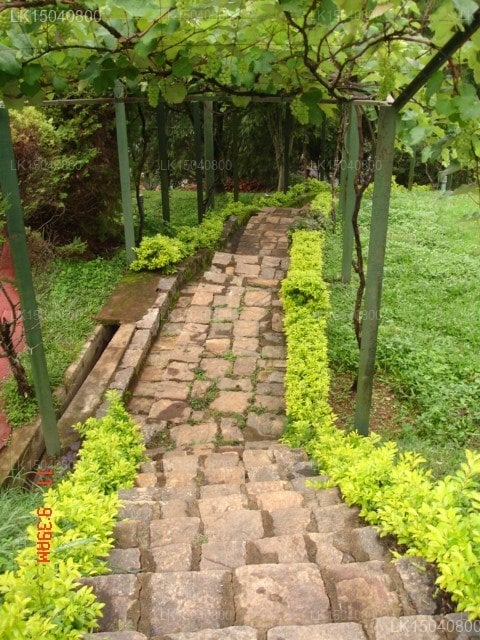 Cranford Villa, Bandarawela