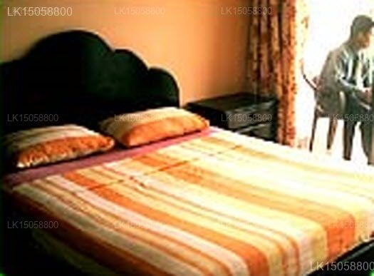 Highest View Guest House