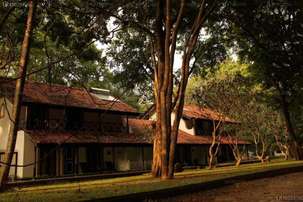 Cinnamon Lodge