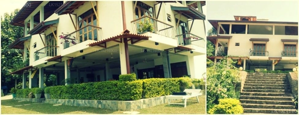 Feelin' good Resort