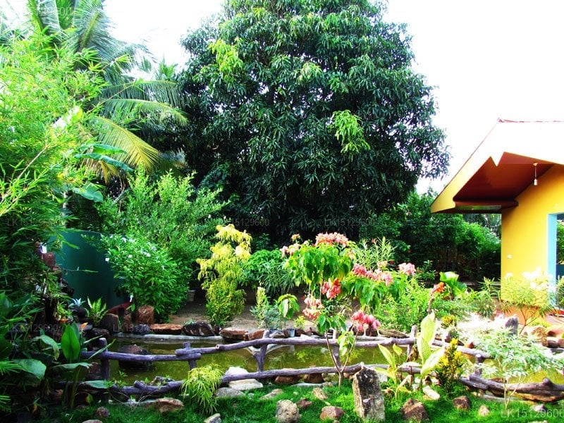 Pala Hotel