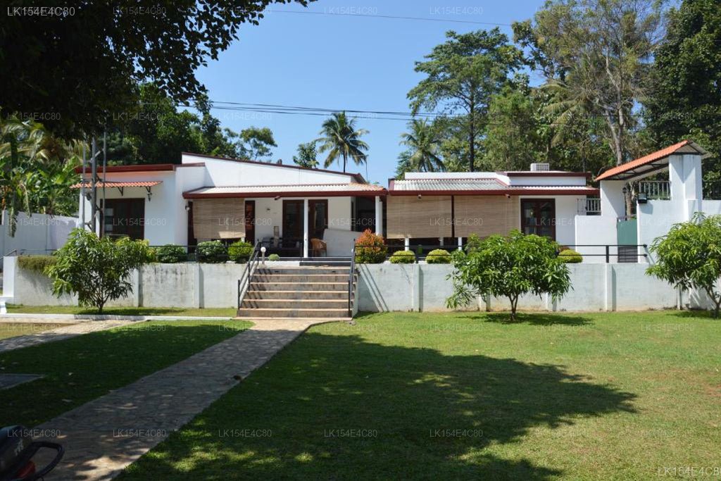 Olivi-paladset, Udawalawe