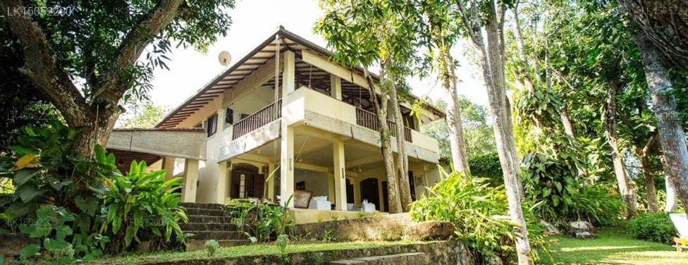 The River House