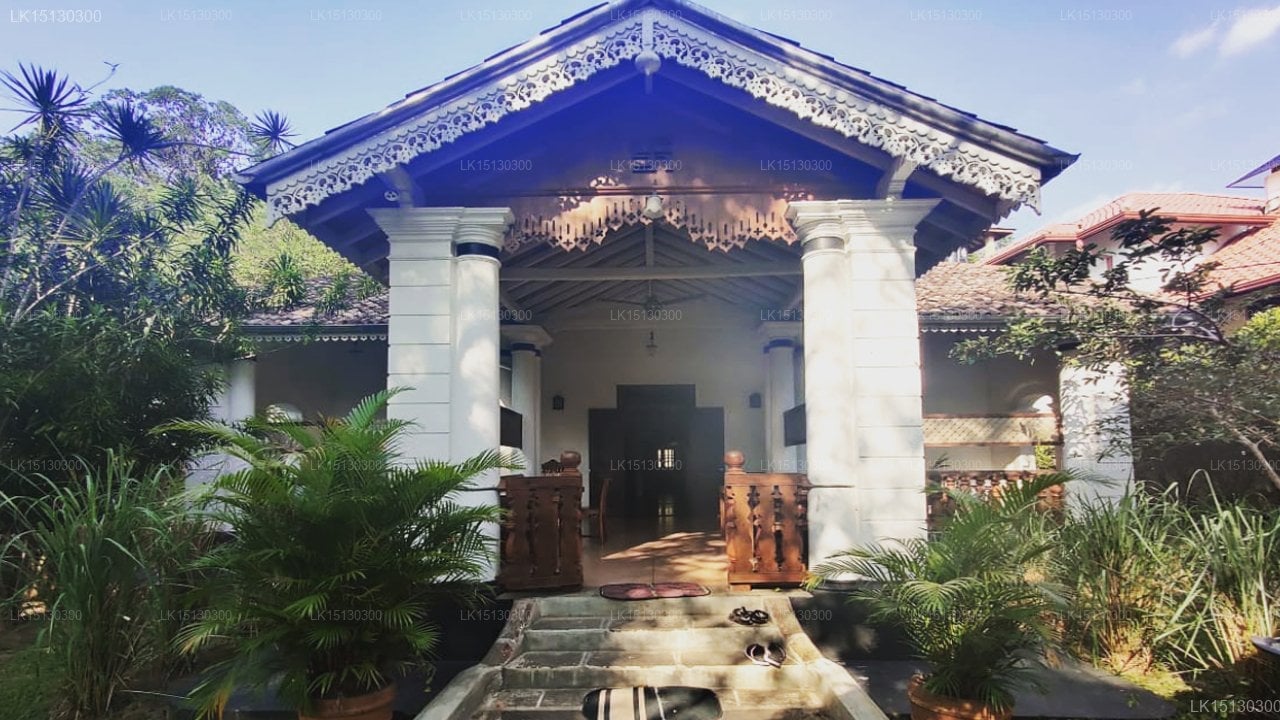 Holiday Bungalow in Wackwella