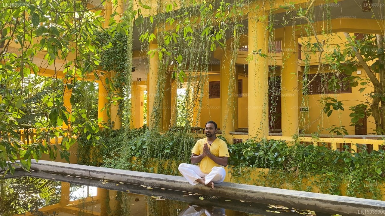 Barberyn Beach Ayurveda Resort