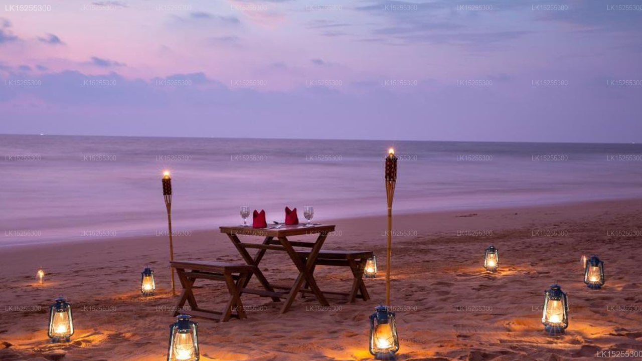 Palm Beach Inn & Sea Shells Cabanas, A2, Bentota
