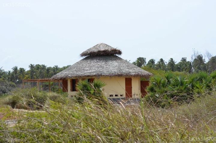 Elements Beach & Nature Resort