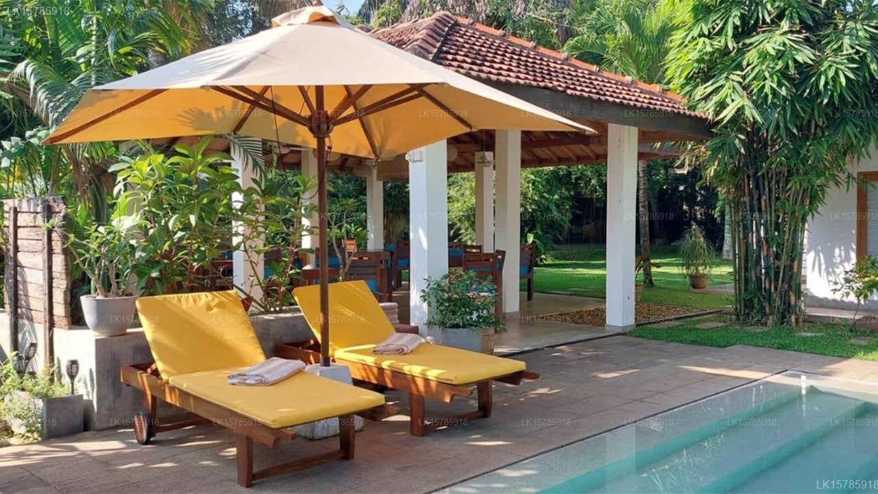 The Secret Guesthouse