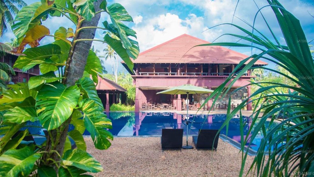 Celestia Ayurveda Resort