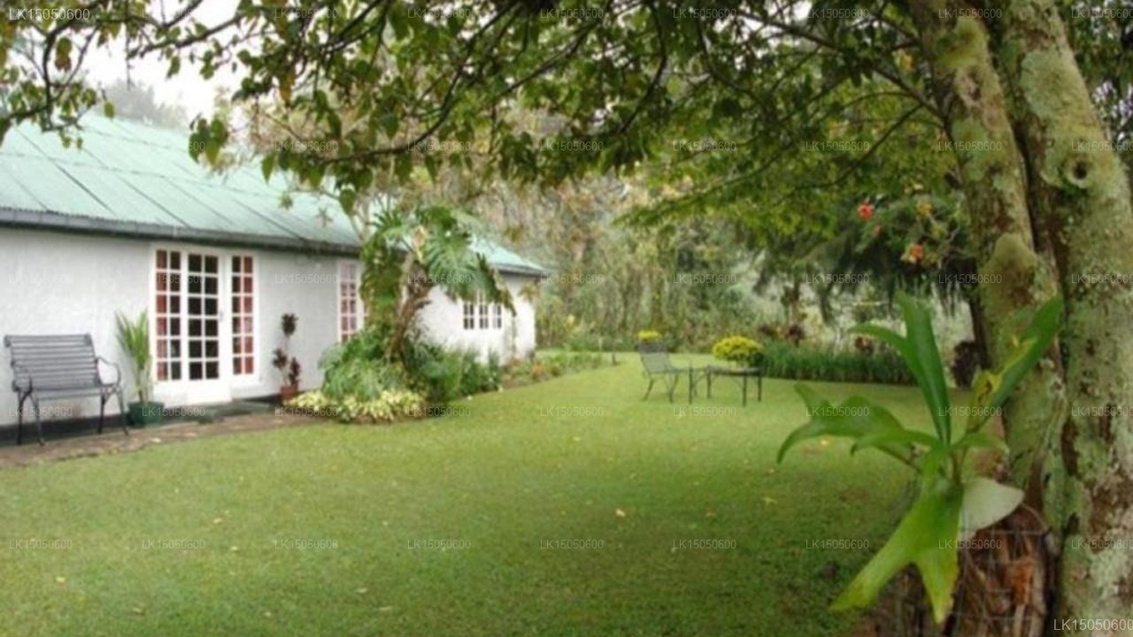 Sherwood Tea Plantation Bungalow