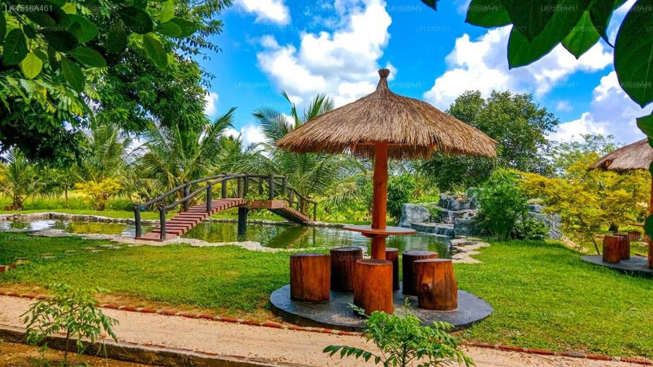 Ceylon Amigos Eco Resort