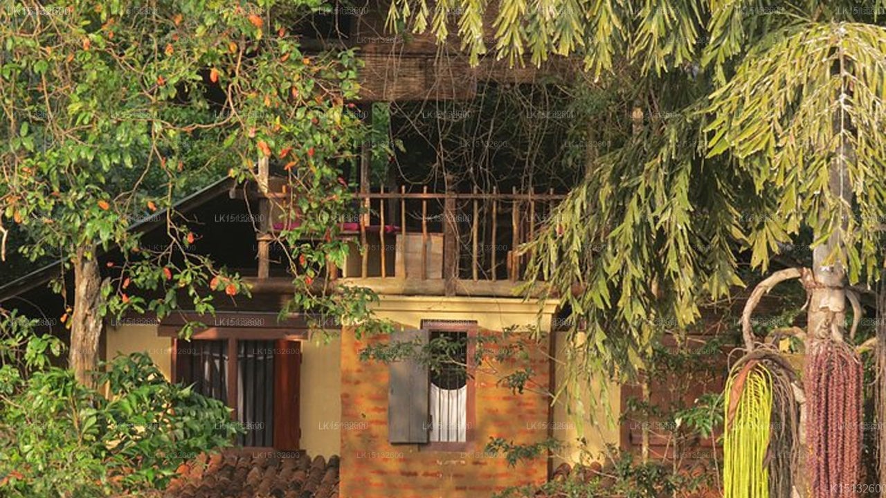 Galkadawala Forest Lodge