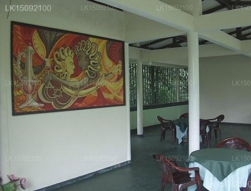 Elnara Resort