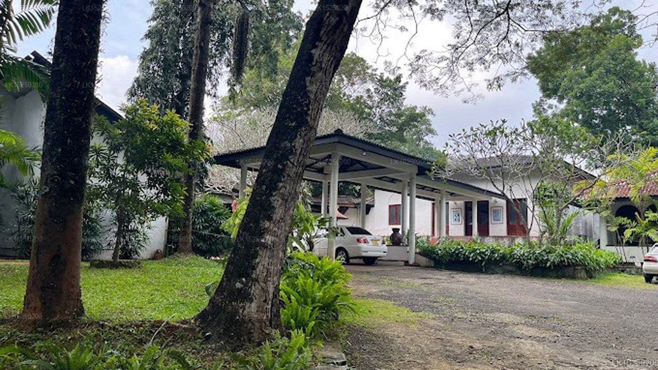 Elephant Villa