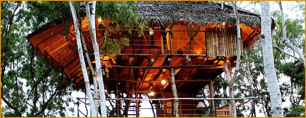 The Saraii Village