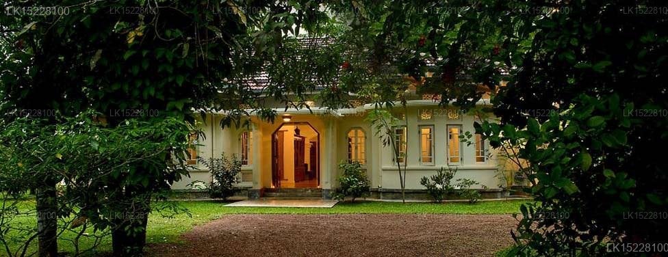 Coconut Grove