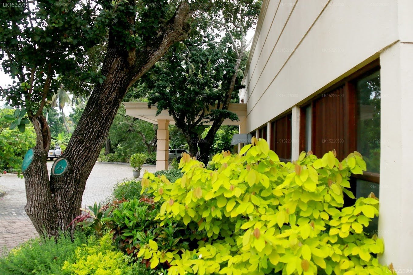 Jade Green Hambantota