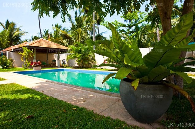The Lagoon Villa