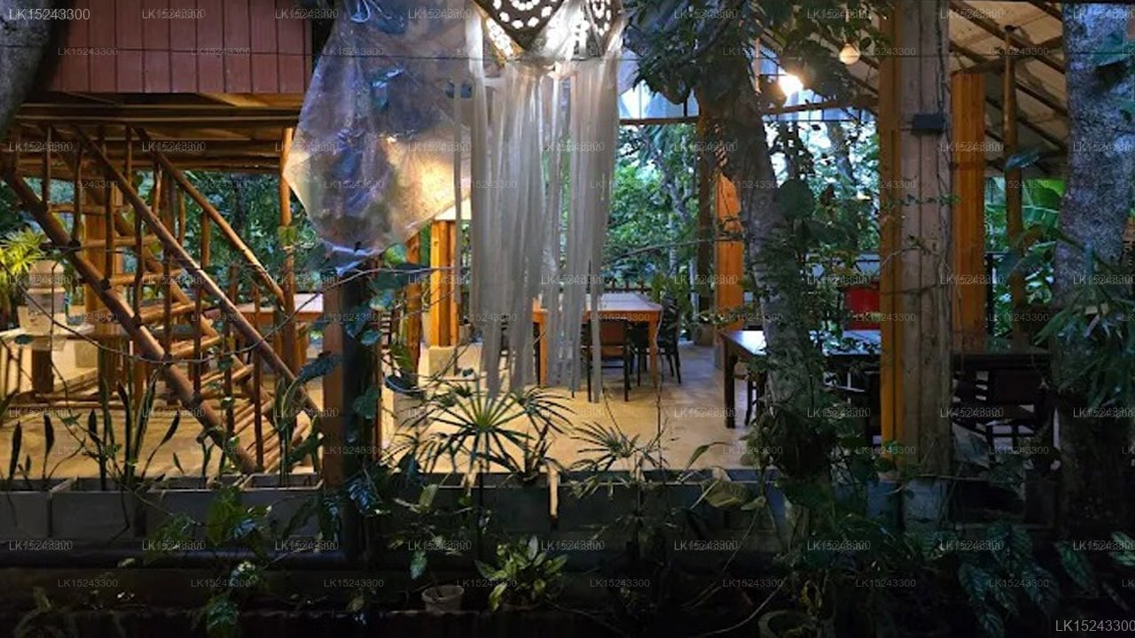 Villa Eden Paradise