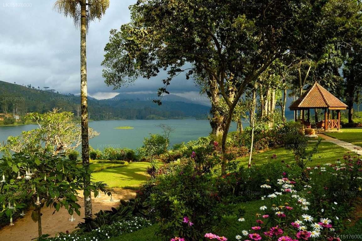 Ceylon Tea Trails