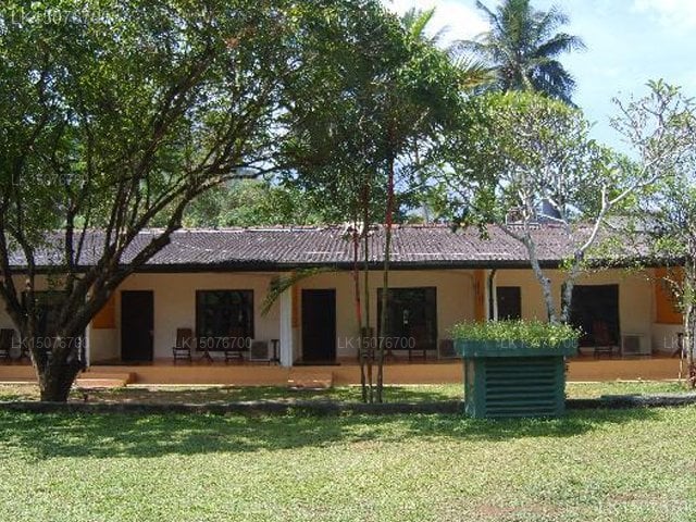 Kithulgala Resort