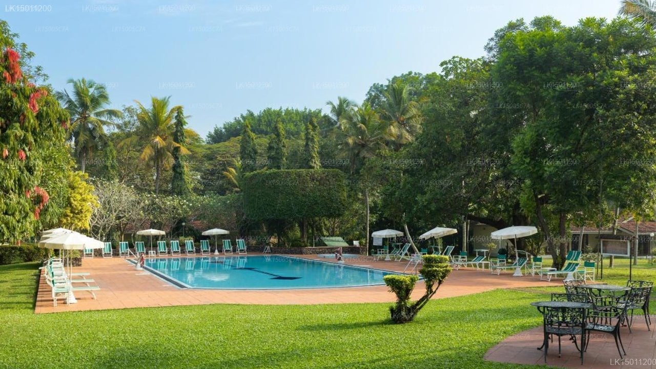 Tamarind Tree Hotel