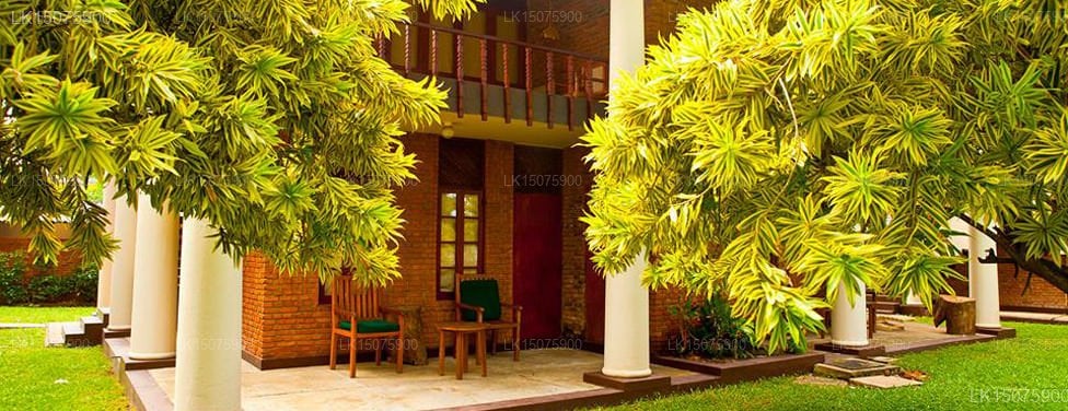 Rivi Ras Hotel