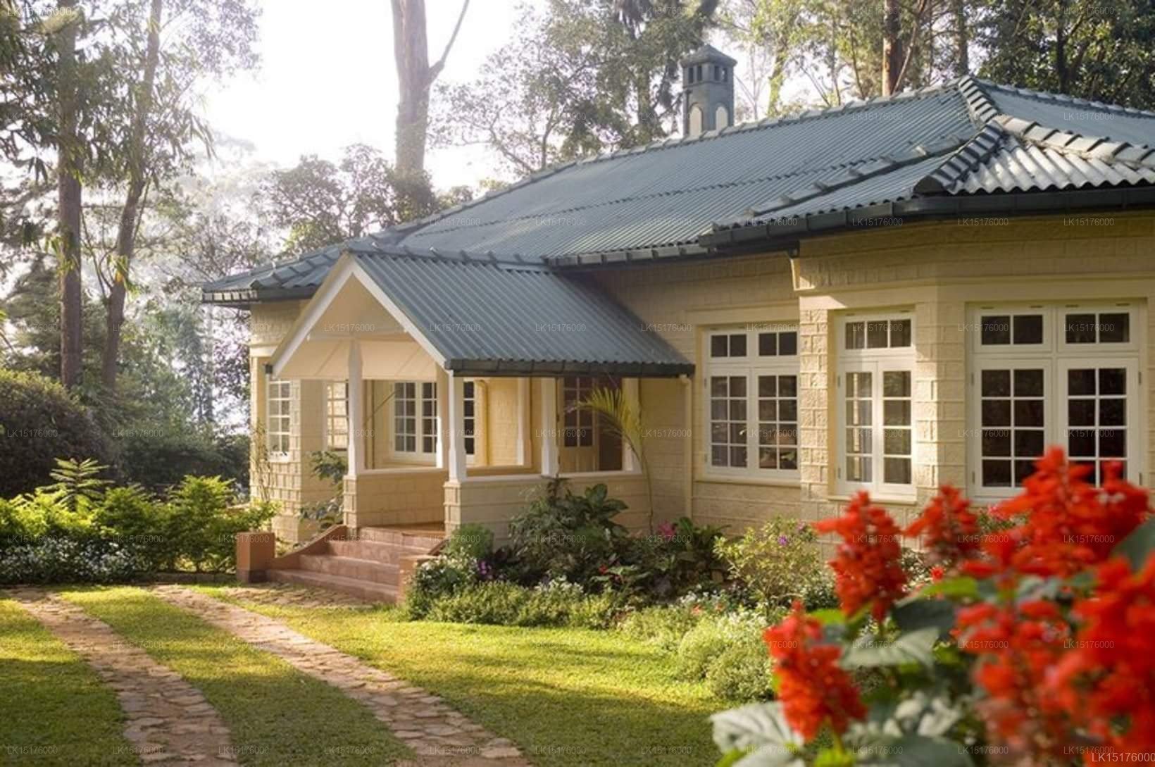 Ceylon Tea Trails