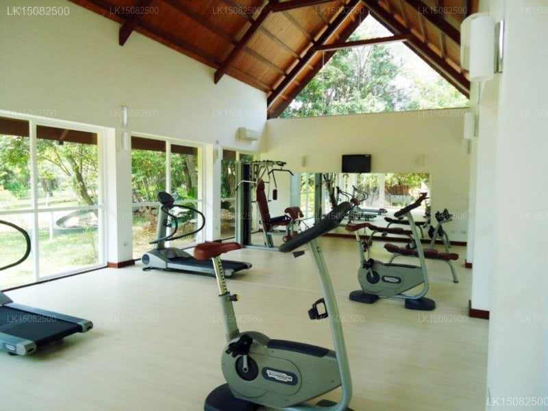 The Paradise Resort & Spa