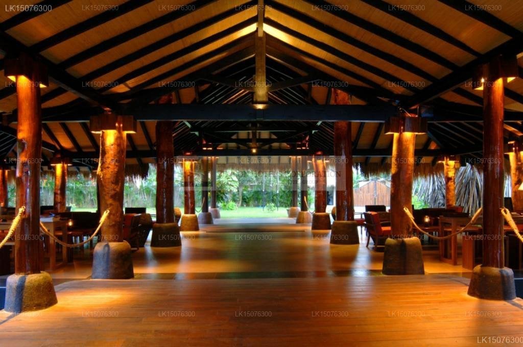 EKHO Safari